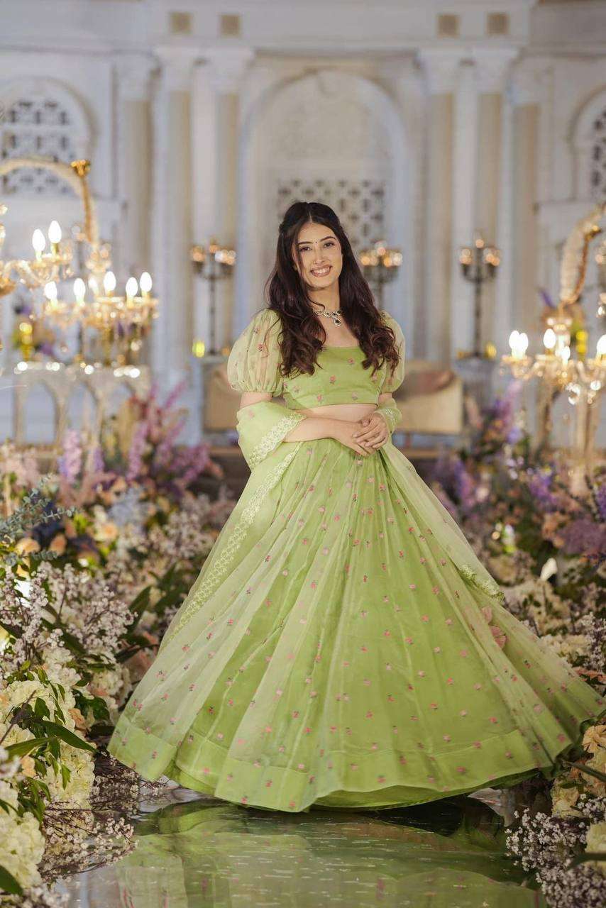 VAD 900 LEHENGA CHOLI