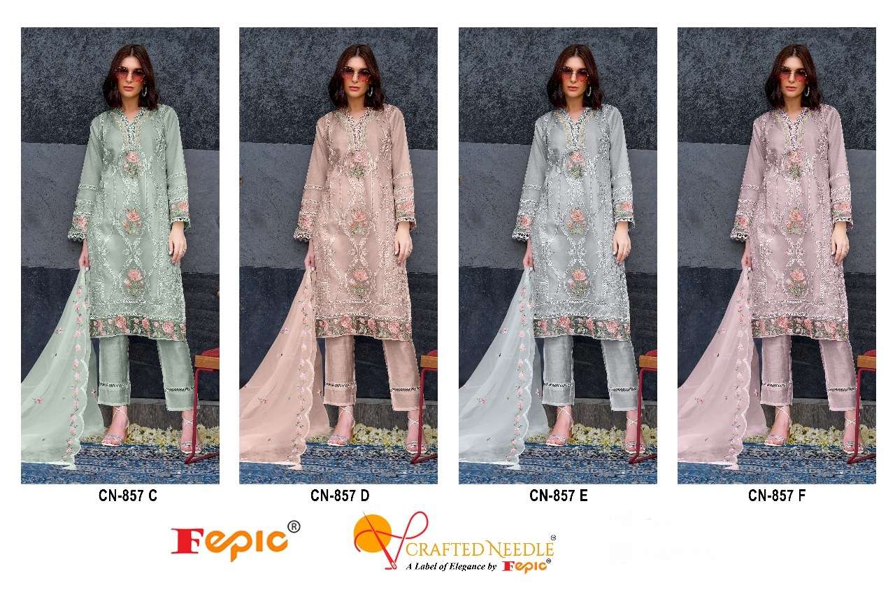 FEPIC CRAFTED NEEDLE CN 857 READY MADE ORGANZA SUITS